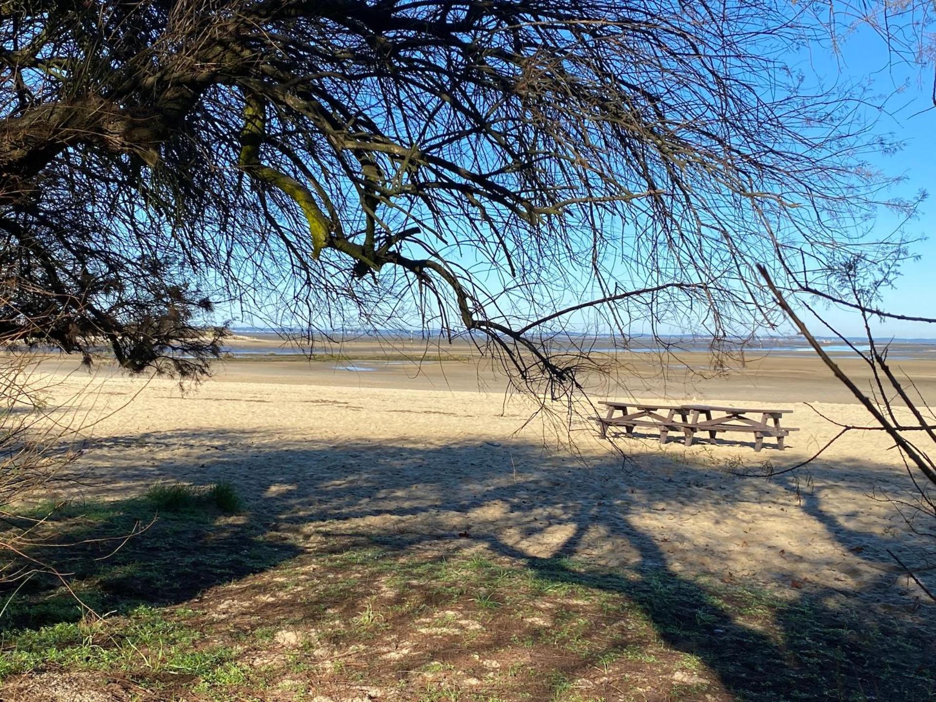 Charme & Confort- Les Cottages Du Bassin D'Arcachon- Petit-Dejeuner Sur Demande - Nuitee, Court Sejour, Semaine Gujan-Mestras Dış mekan fotoğraf