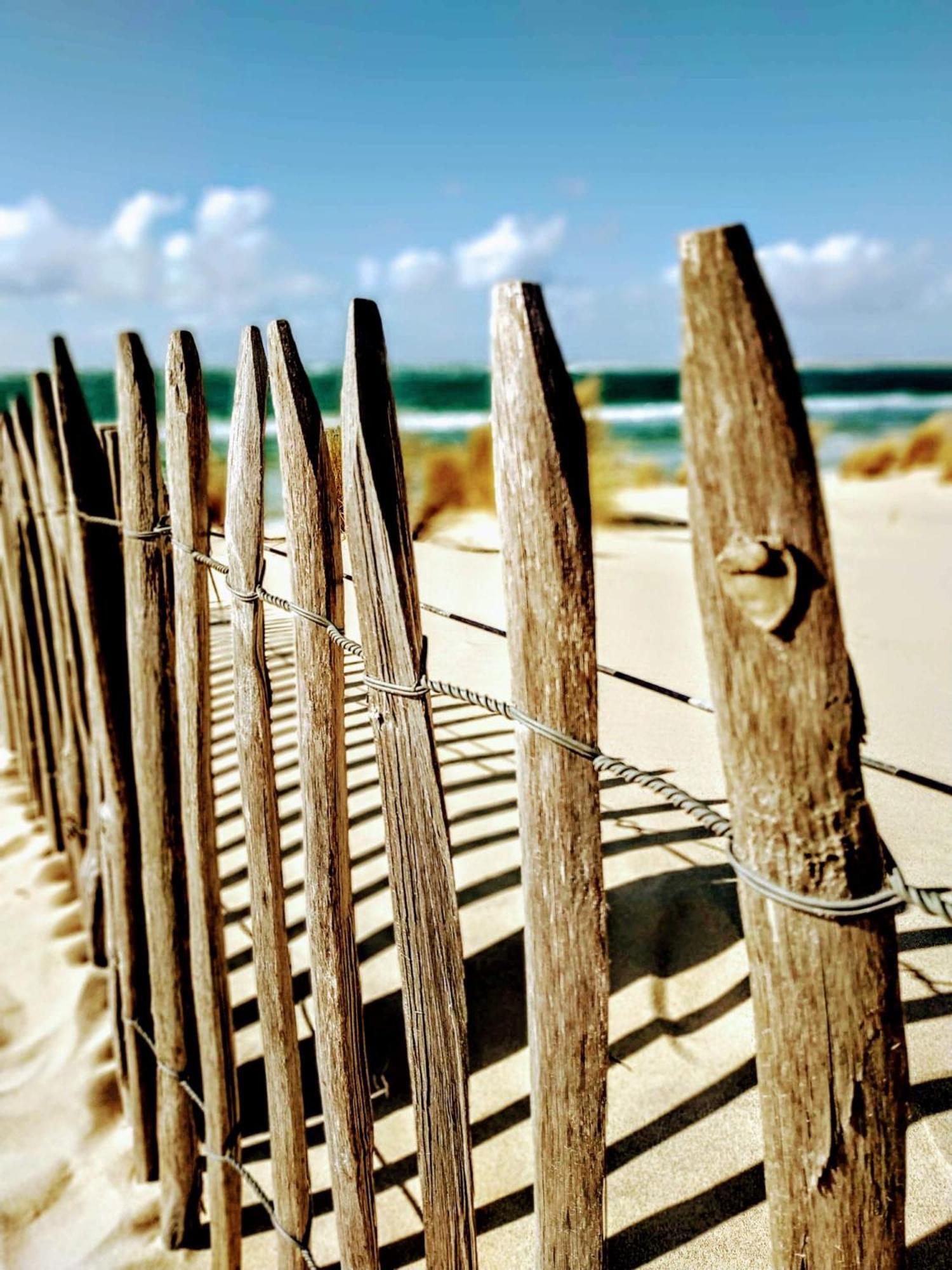 Charme & Confort- Les Cottages Du Bassin D'Arcachon- Petit-Dejeuner Sur Demande - Nuitee, Court Sejour, Semaine Gujan-Mestras Dış mekan fotoğraf